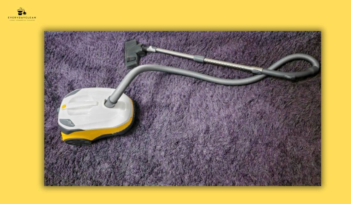 steam cleaning carpet machine