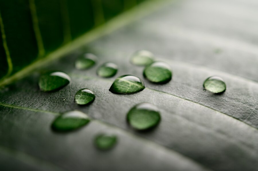Preventing Mould Recurrence in Your Home