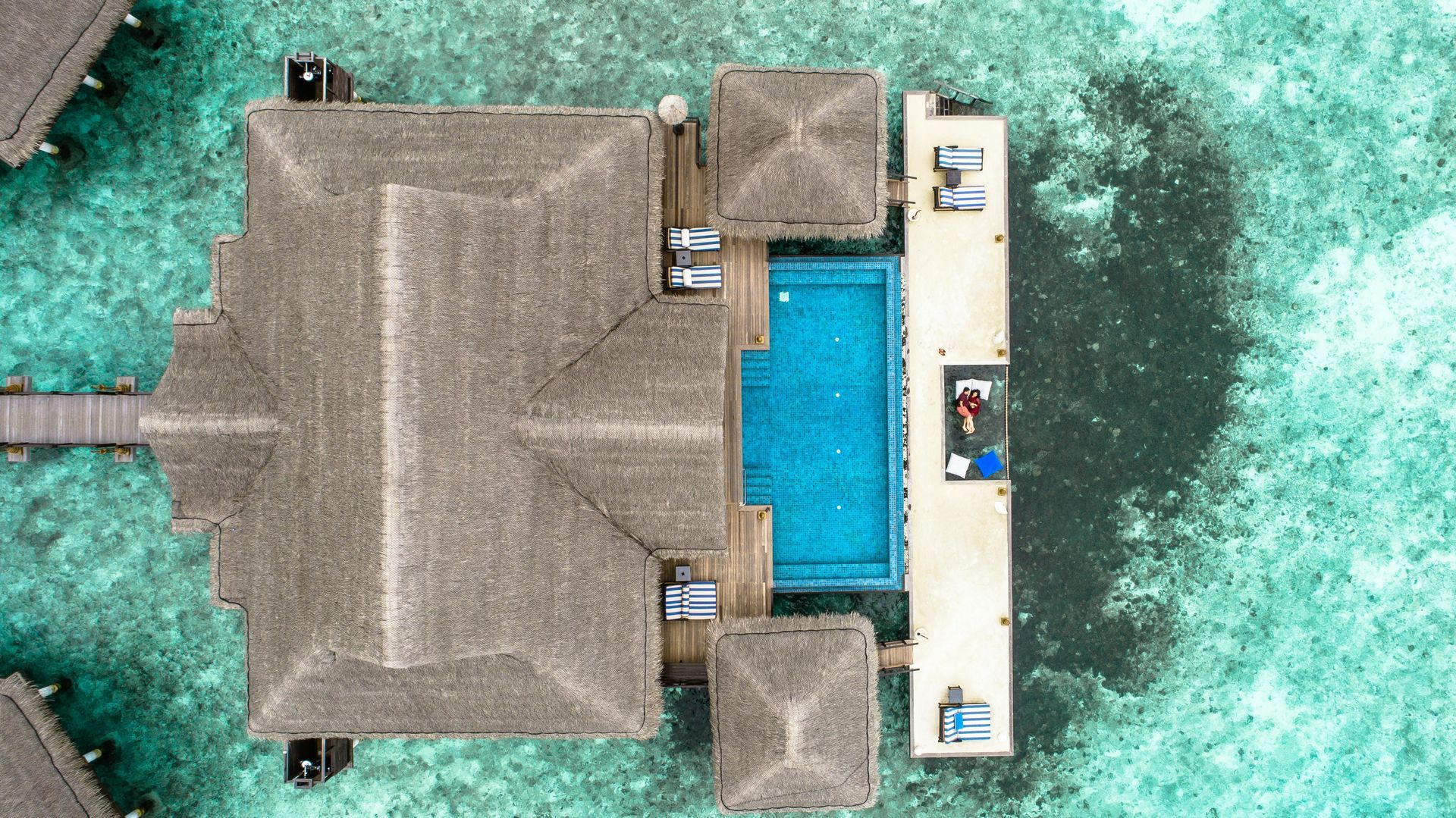 Maldives Honeymoon