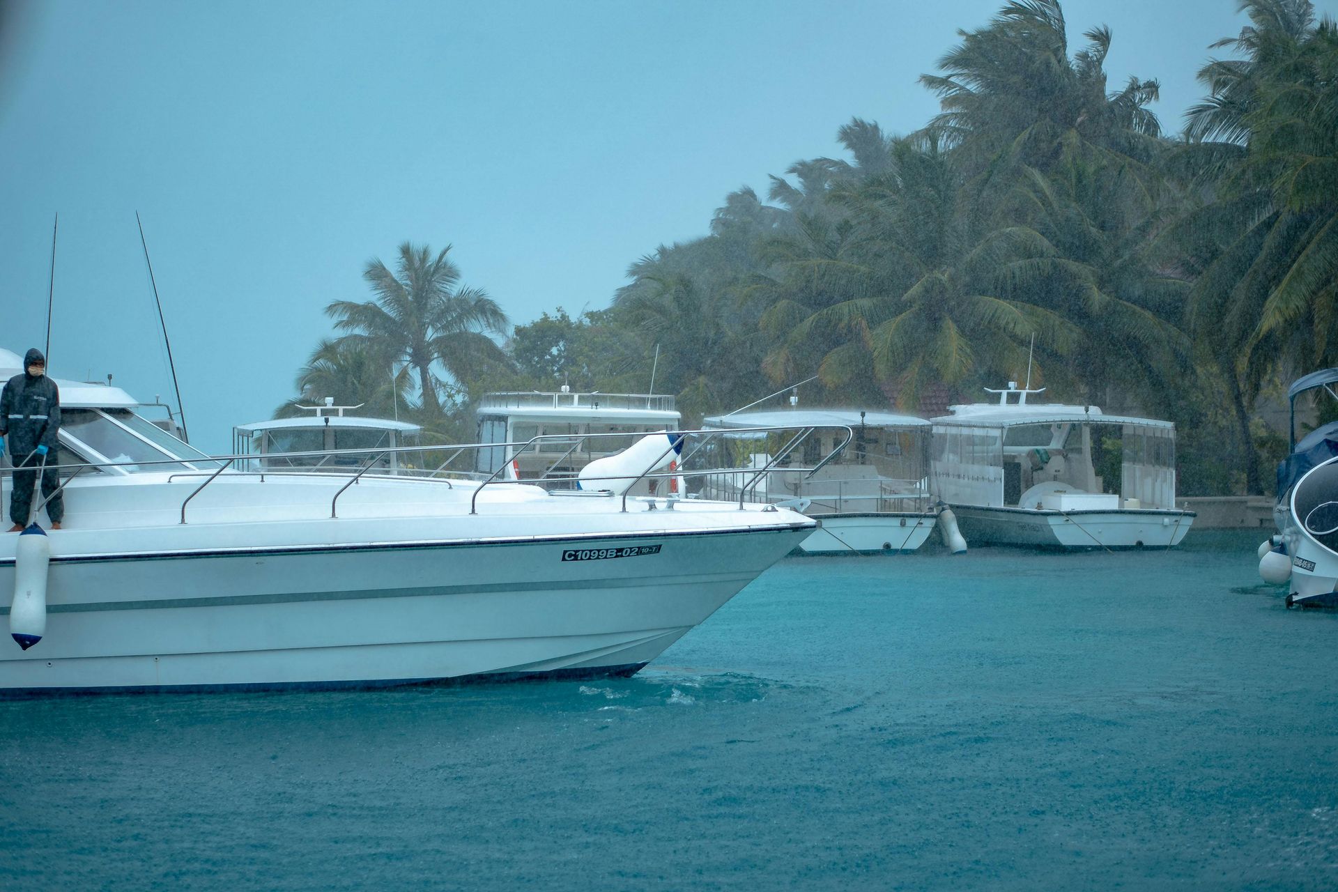 Maldives Green Season