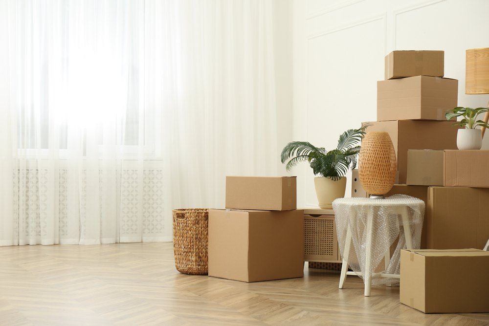 A Room Filled With Lots of Cardboard Boxes and Potted Plants — Buck Removals & Storage in Cowra, NSW