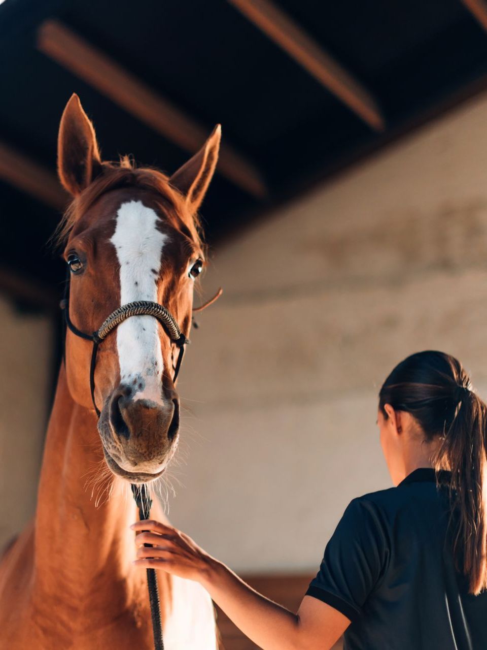 A woman is standing next to a brown horse