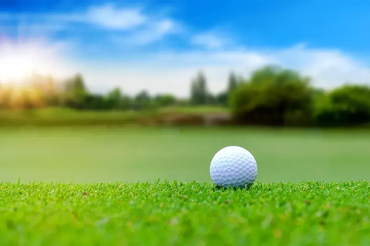 Golf ball on green