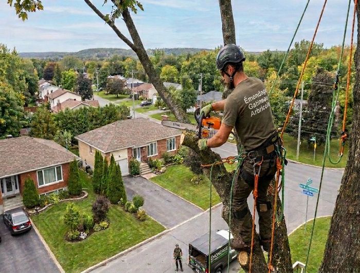 Elagueur Gatineau