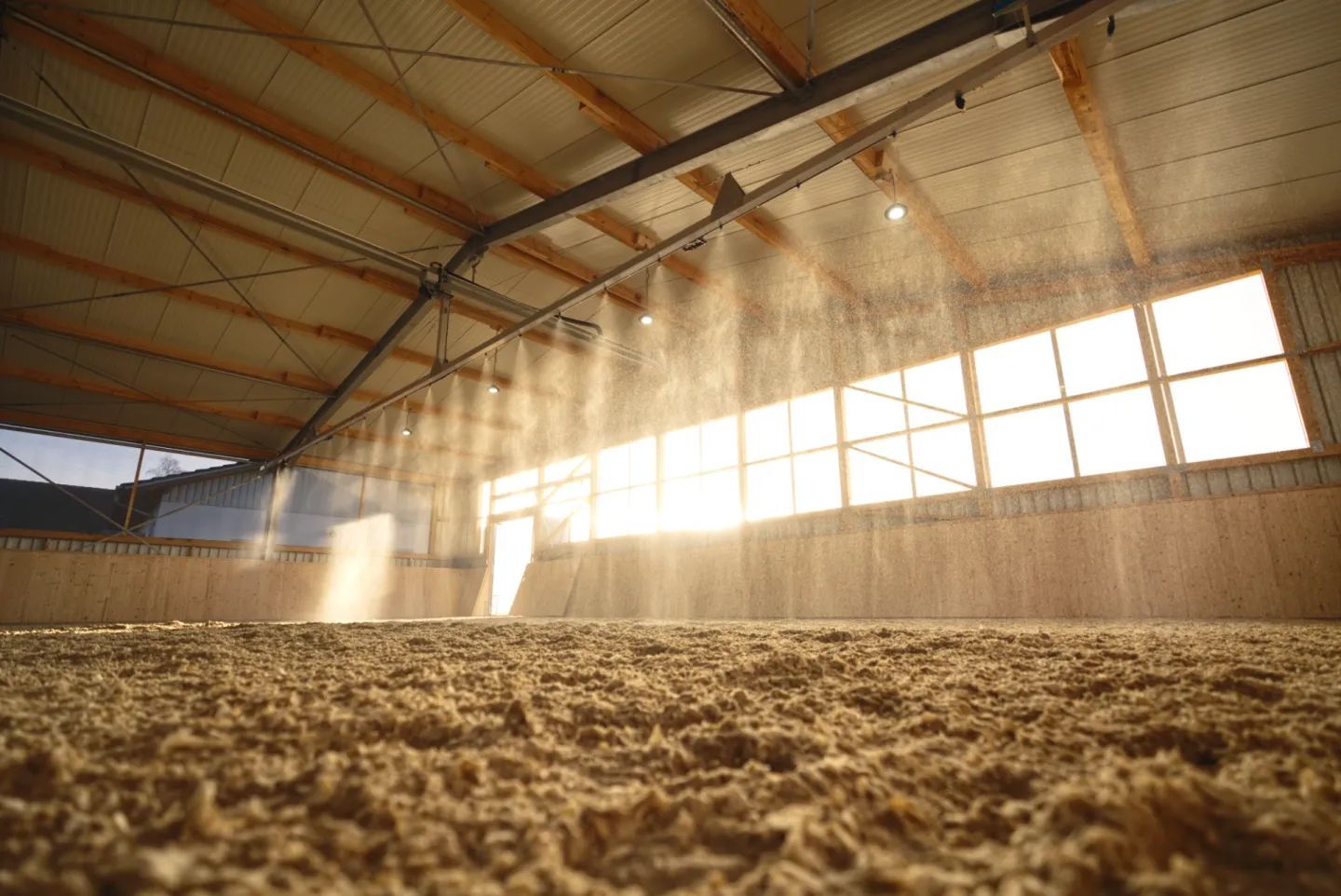 A brown horse is walking in a dirt field.