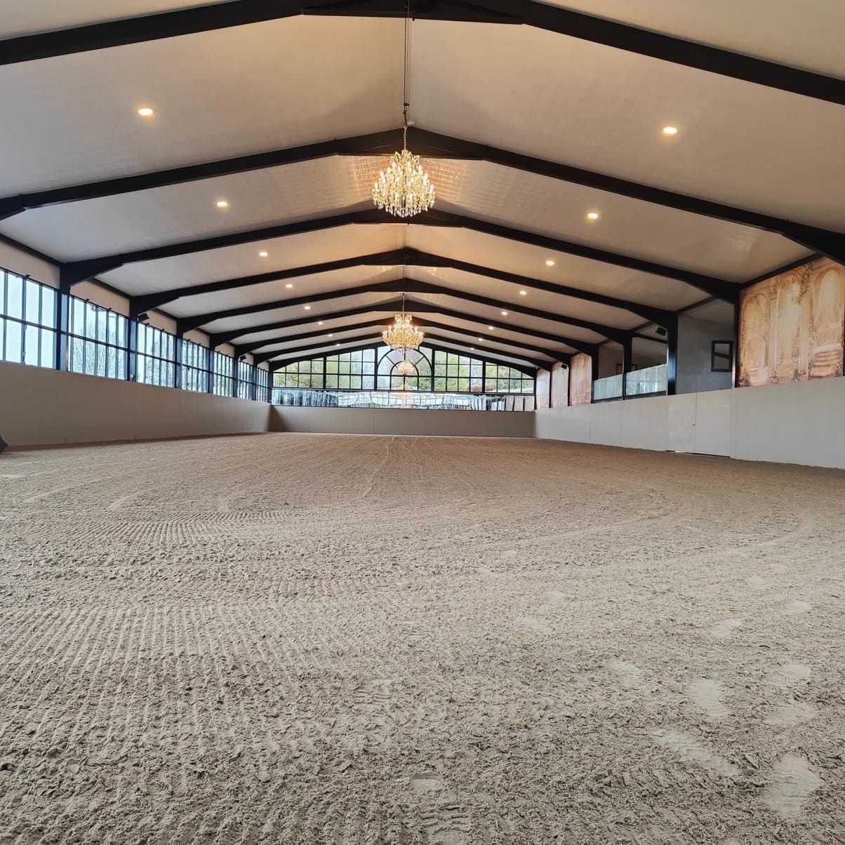 A person riding a black horse in a indoor arena