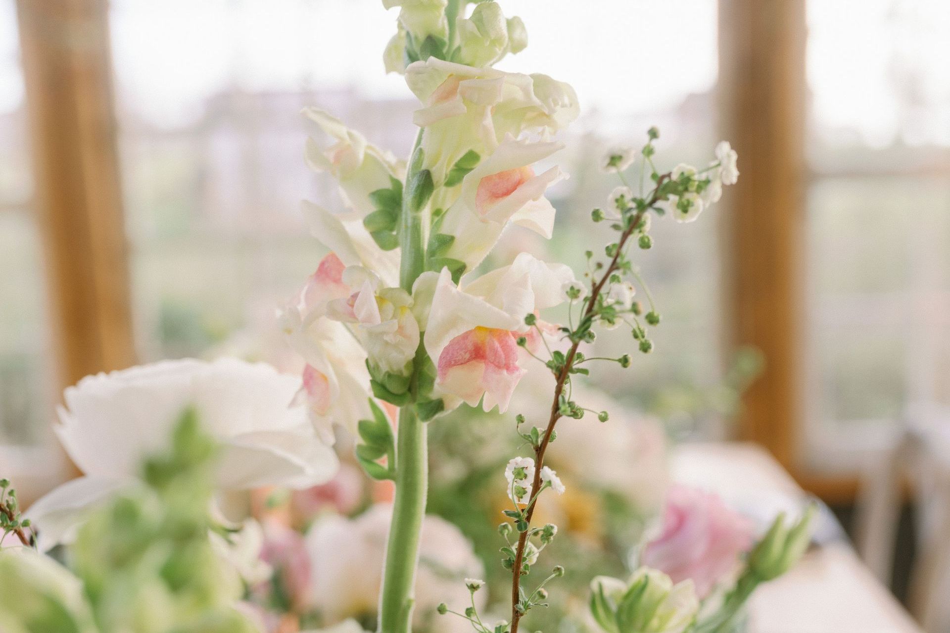 Floral arrangements