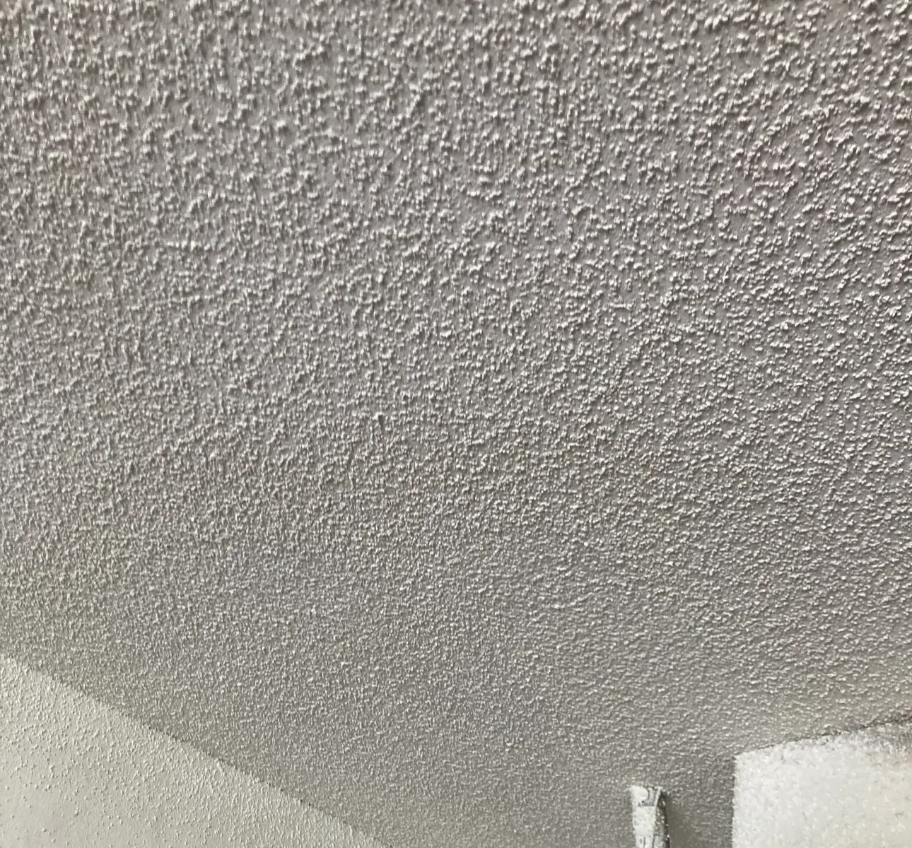 A close up of a white ceiling with a brush on it.