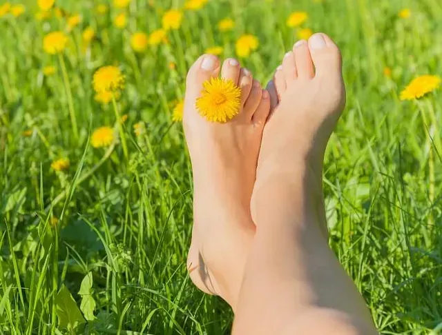 Bare feet in green grass with a yellow dandelion between the toes