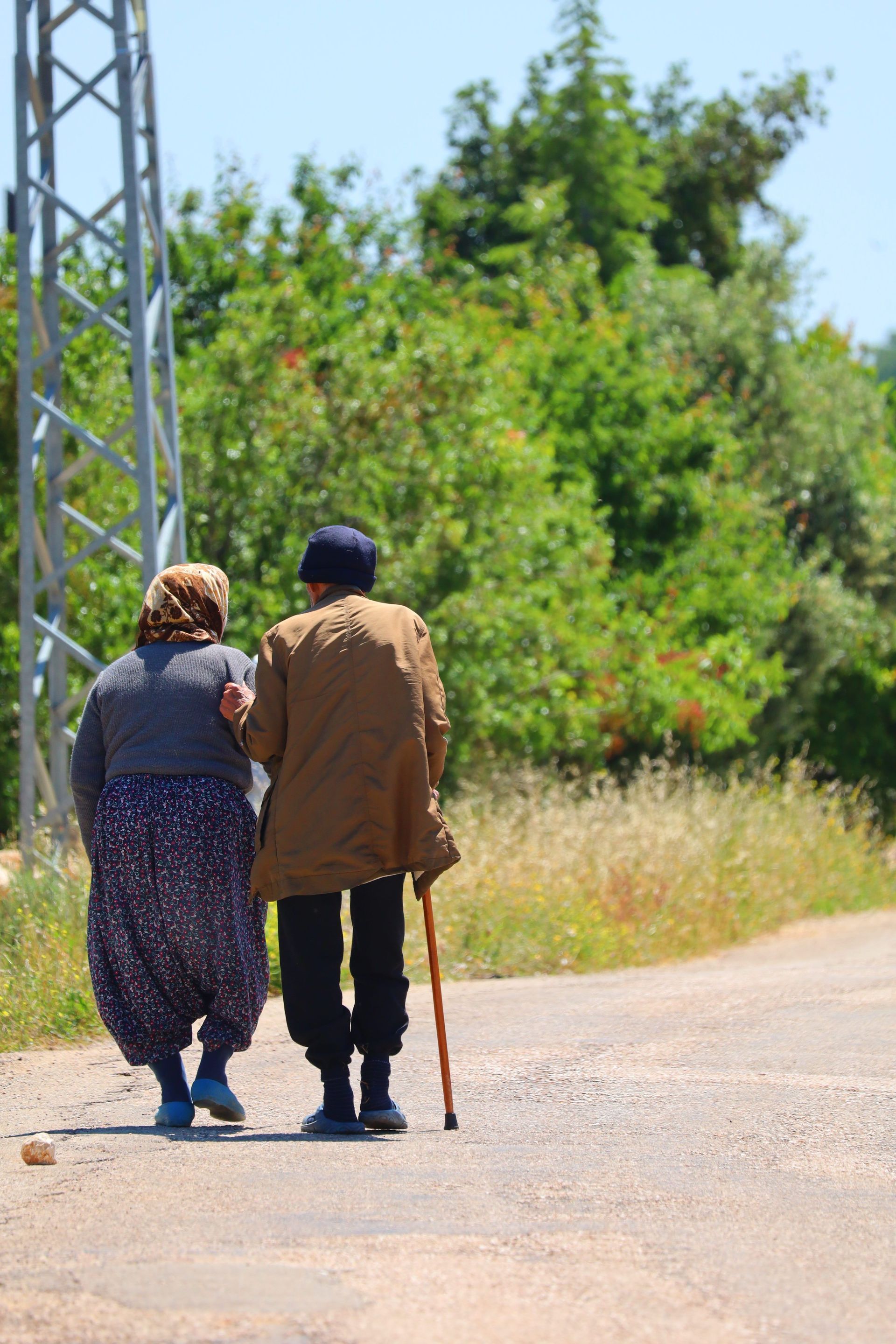 Companion Care