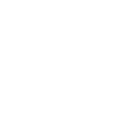 E-motional Solutions
