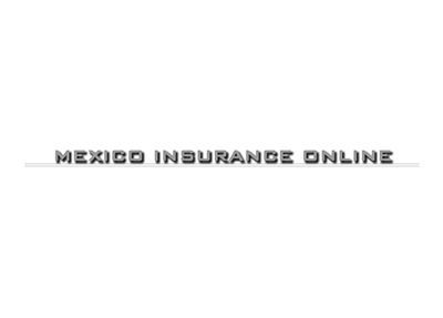 Logo reading “Mexico Insurance Online” in metallic gray on a white background
