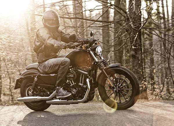 Motorcyclist riding a black cruiser on a sunlit forest road