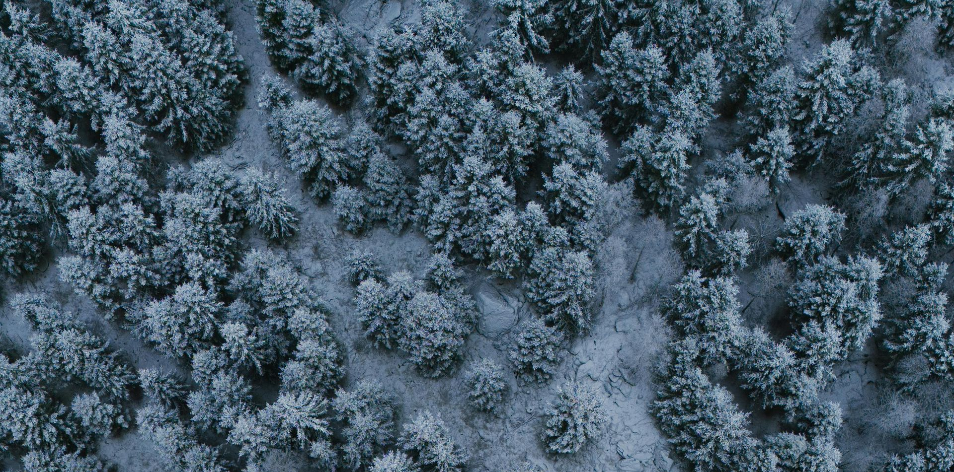 year end financial planning checklist