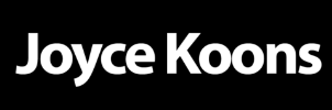Joyce Koons Automotive Group   