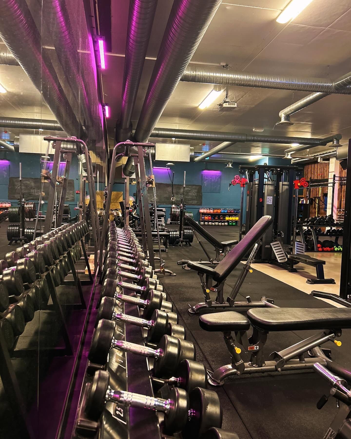 Medlemmer trener i moderne omgivelser hos Trim Her