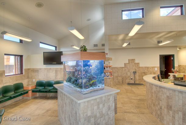 Accessible bathroom with sink, grab bar, bench, and dark door in a small tiled room