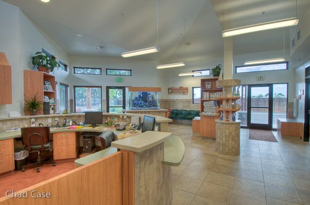 Lobby of Indian Creek Veterinary Hospital