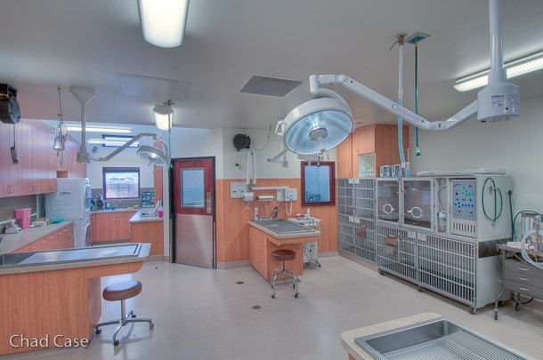 Empty veterinary exam room with surgical table, overhead lamps, and medical equipment