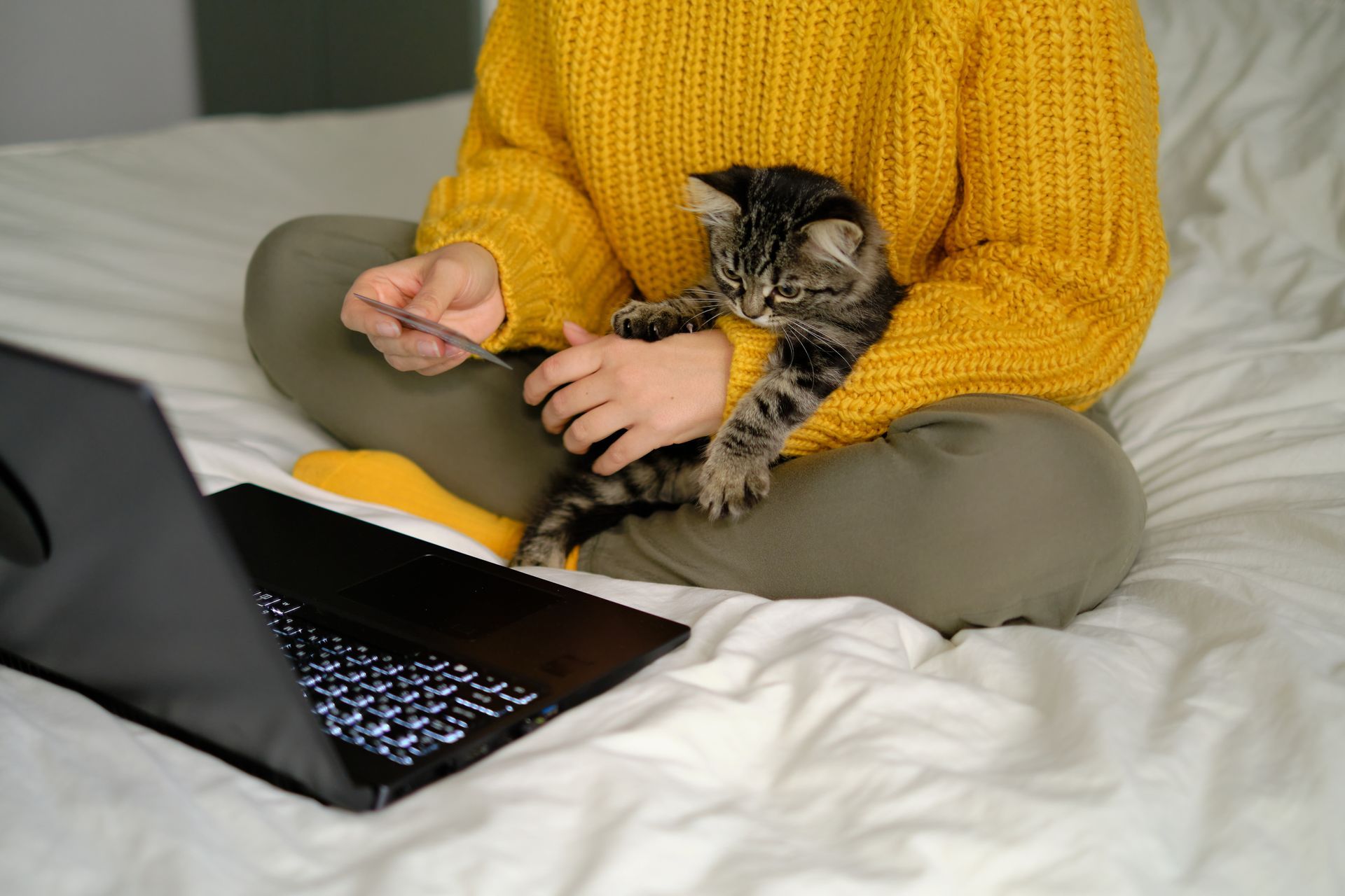 Person in a mustard sweater holding a kitten while using a laptop on a bed