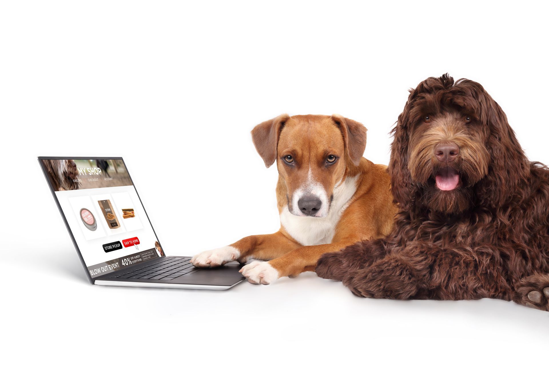 Two dogs beside a laptop, one browsing a shopping site on a white background