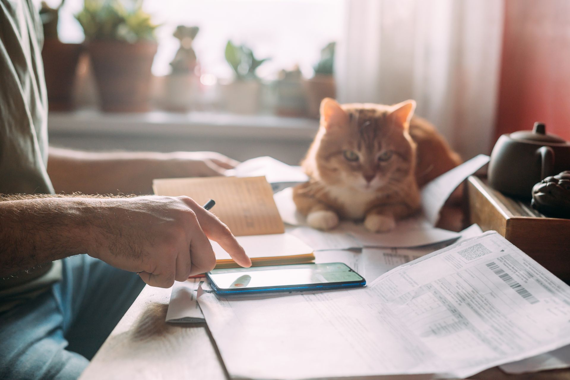 Person writing at a desk with papers while an orange cat rests nearby