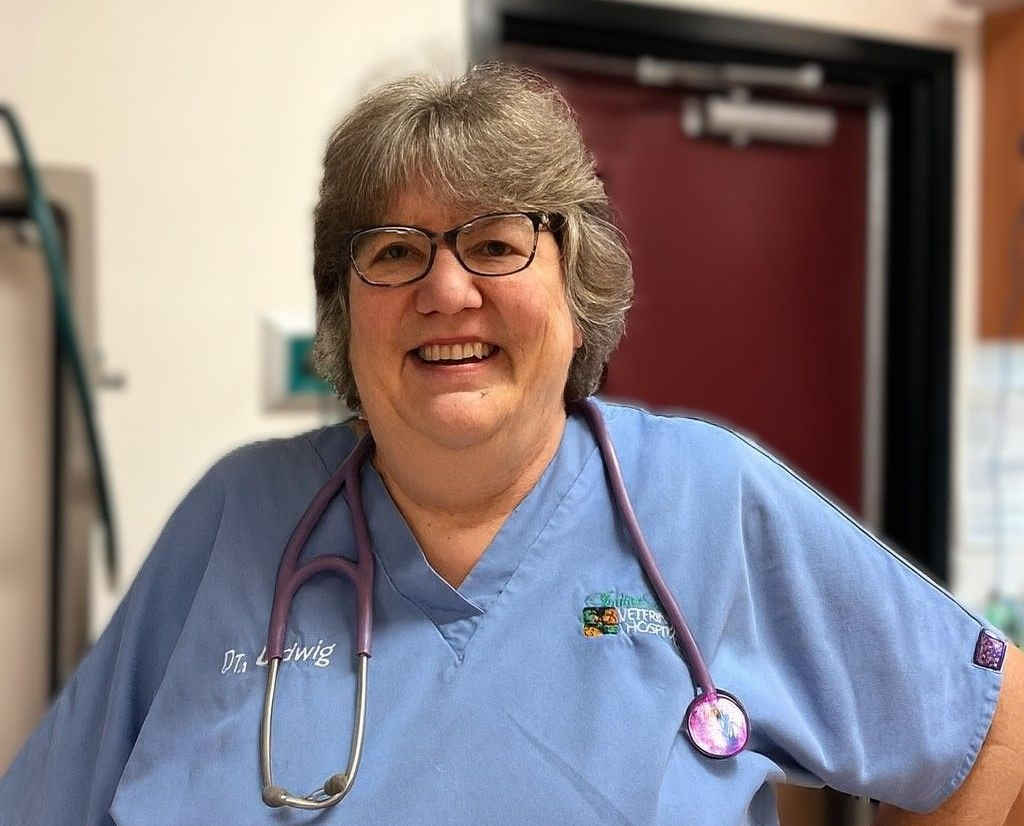 Dr. Ludwig - Veterinarian
