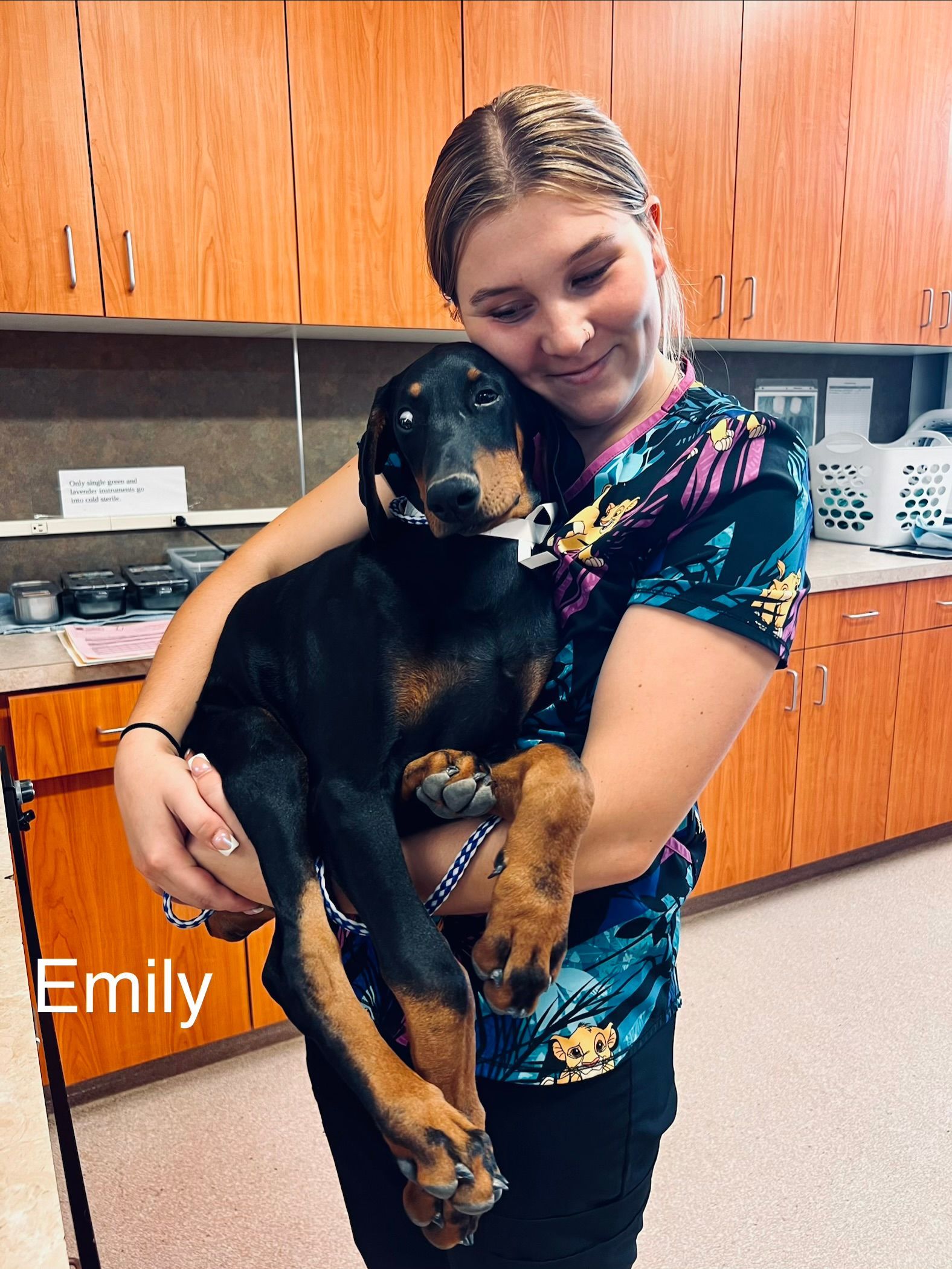 Blue-gloved hands gently holding a white dog's paw during a pet exam