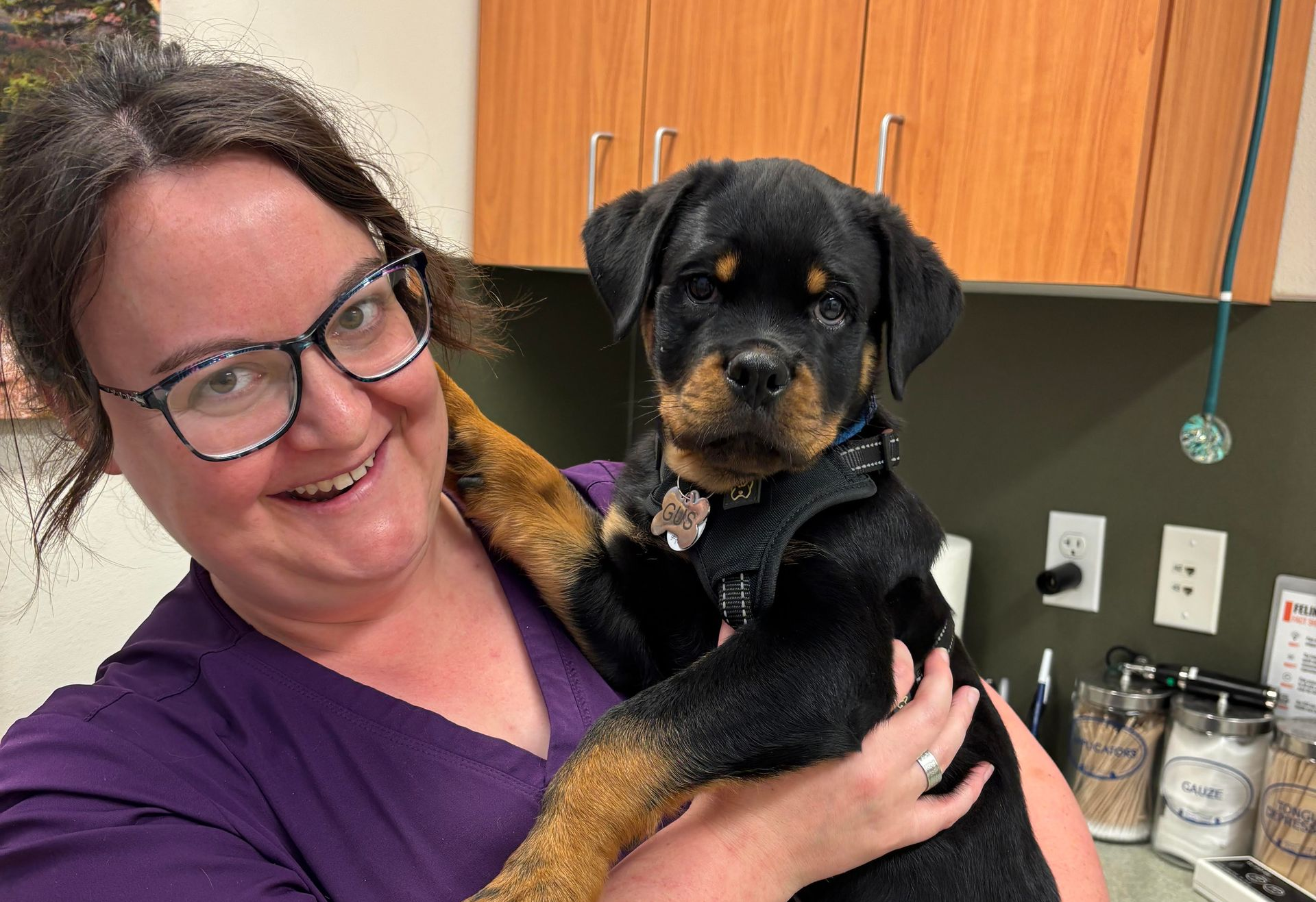 Kirsten - Veterinary Assistant
