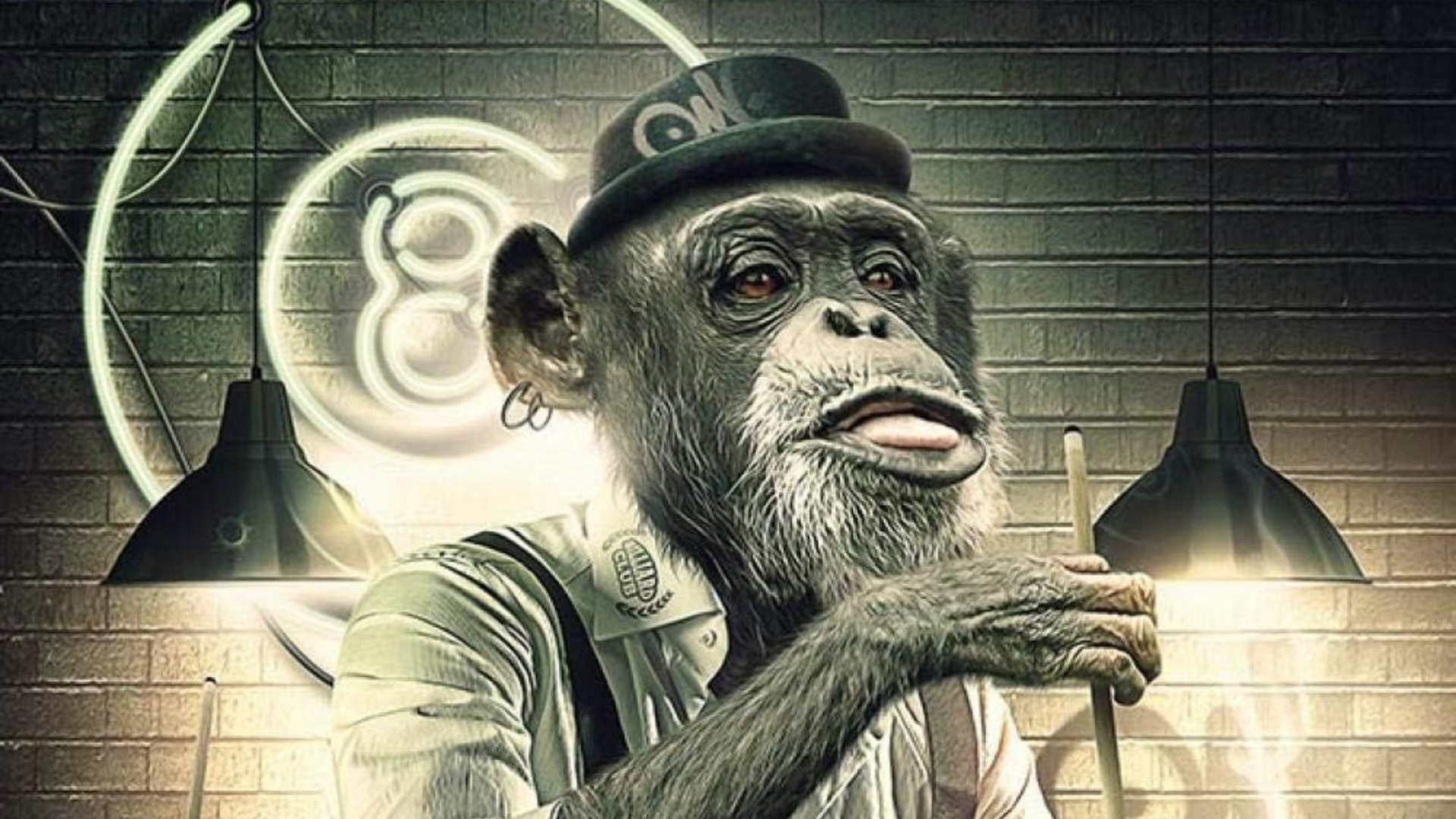 Een chimpansee met een hoed biljartkeu
en bretels zit voor een bakstenen muur.