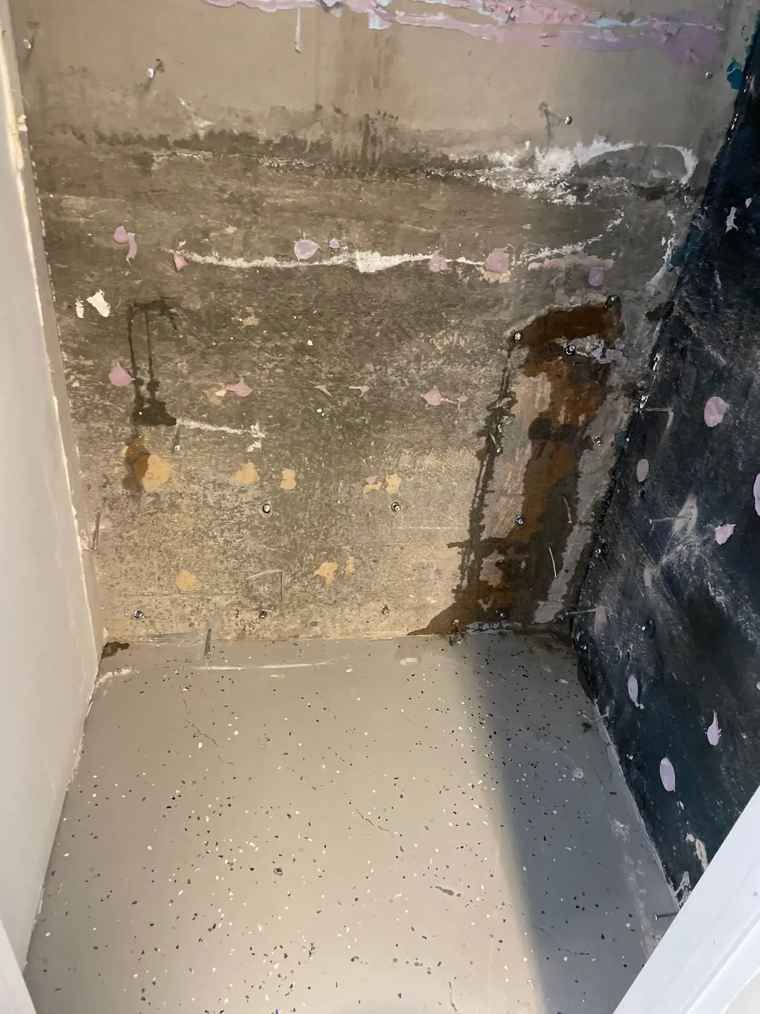 A dark, wet, and moldy crawlspace. Gray concrete floor and walls with water damage and visible pipes.