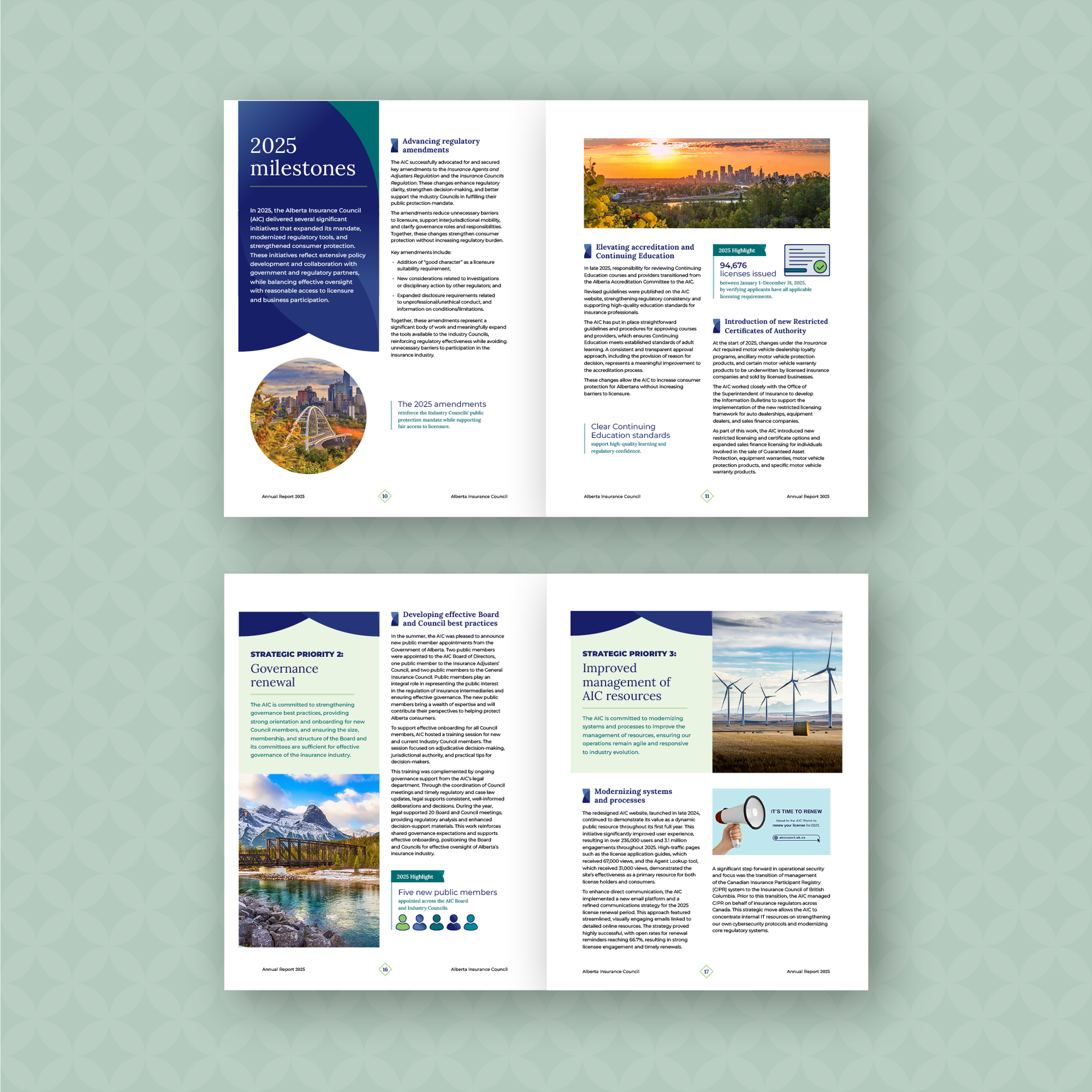  Annual Report 2024