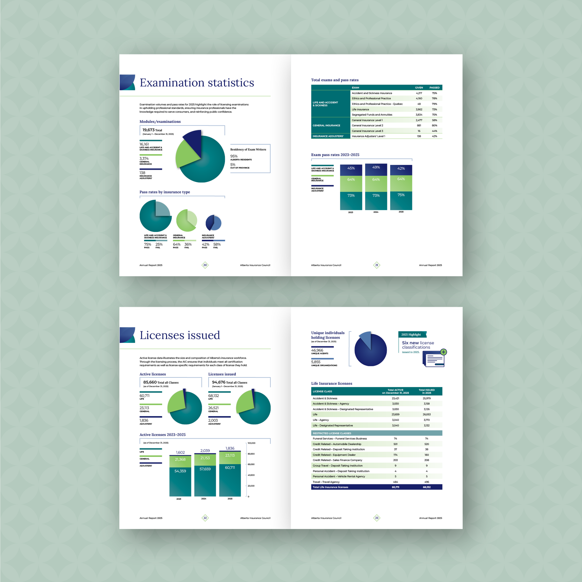  Annual Report 2024