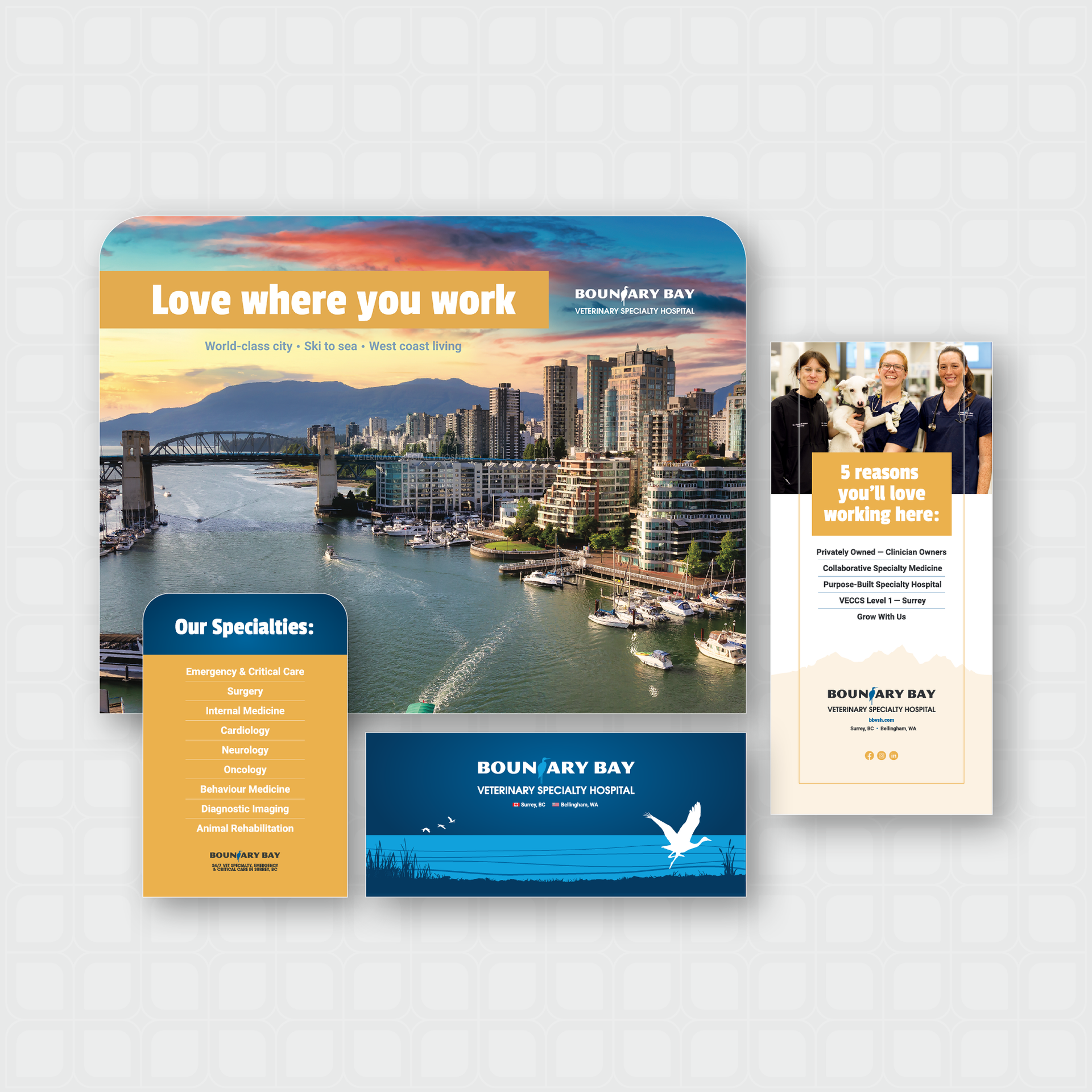 BBVSH Recruitment Branding and Trade Show Materials