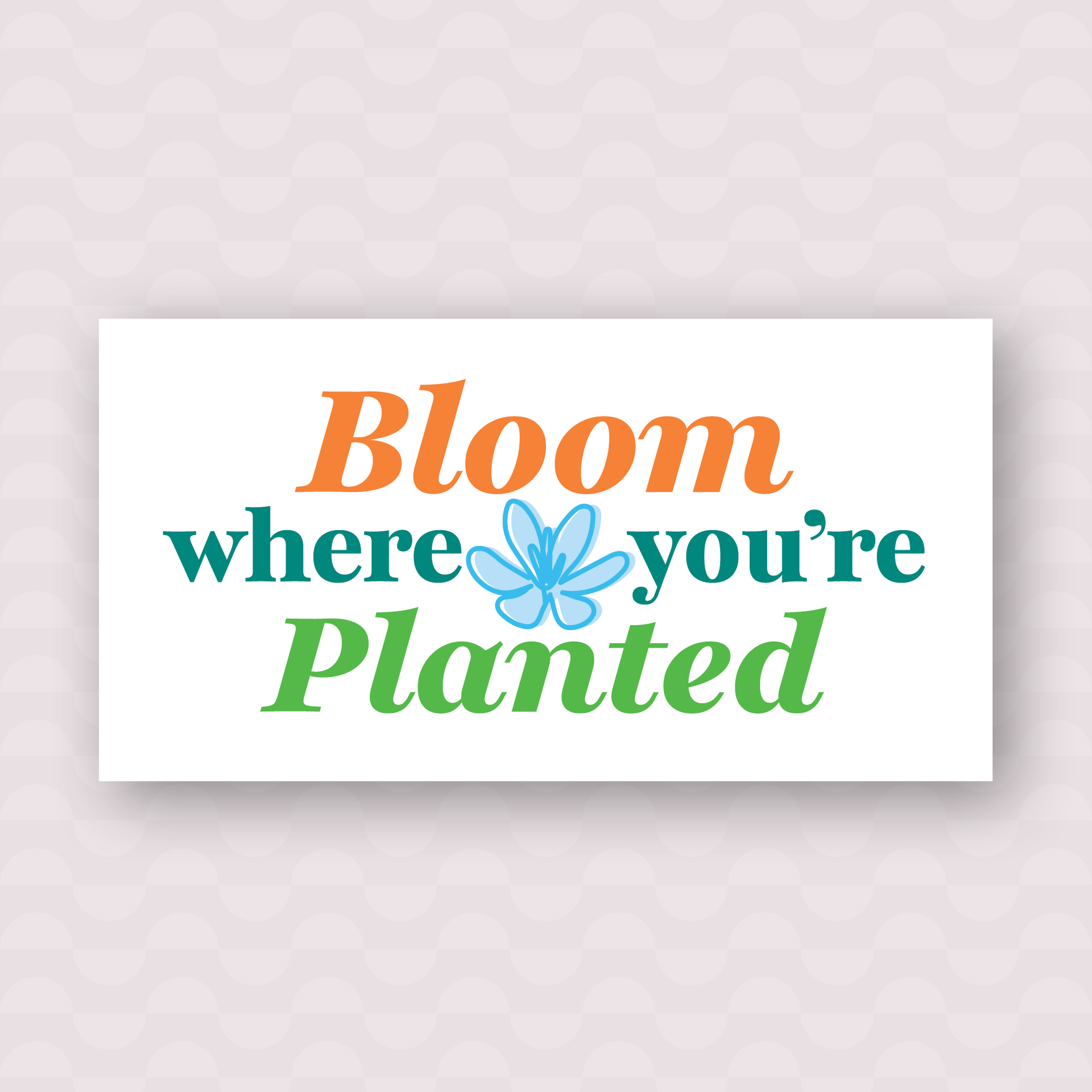 Bloom Campaign