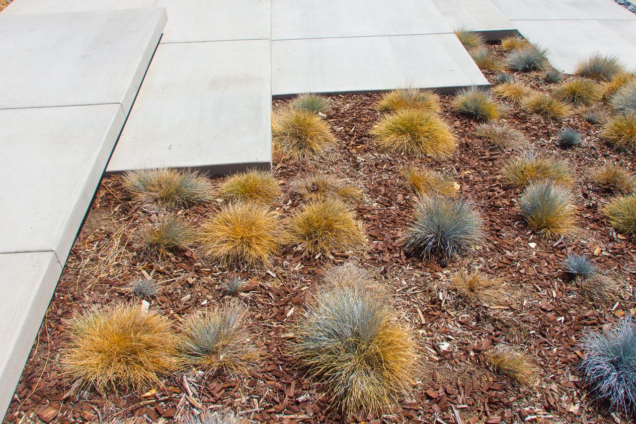 Stone pavers border a bed of mulch and tufted ornamental grasses, with a neutral color palette.