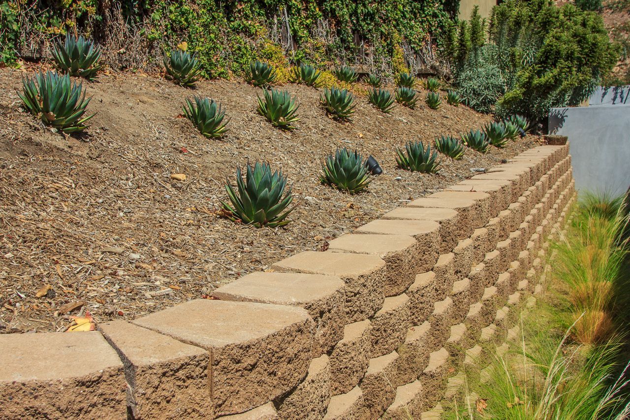 Stone retaining wall with succulent plants on a hillside.