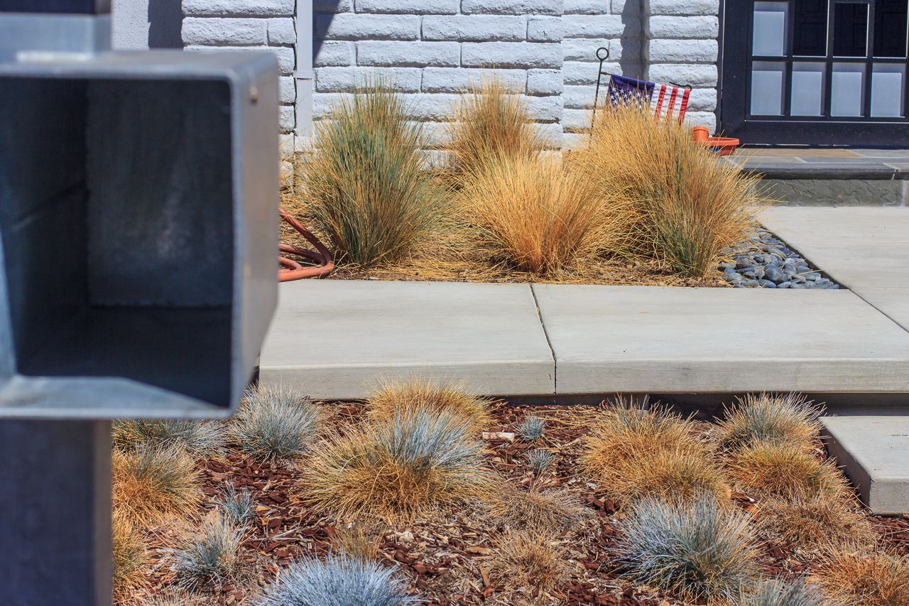 Metal mailbox in front of landscaping with tan and gray plants. Concrete walkway, brick wall background.