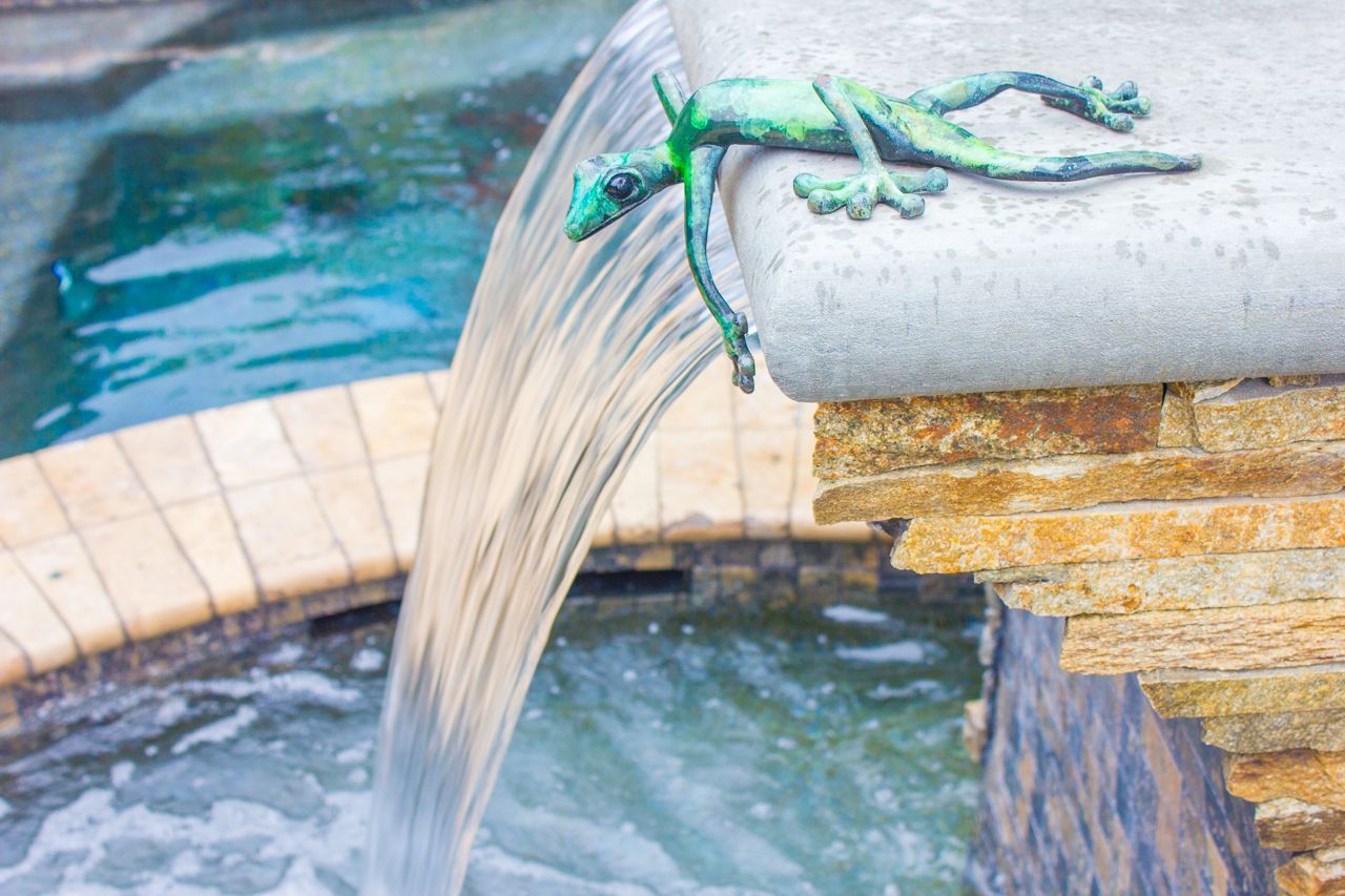 Bronze lizard sculpture clings to a waterfall edge above a pool.