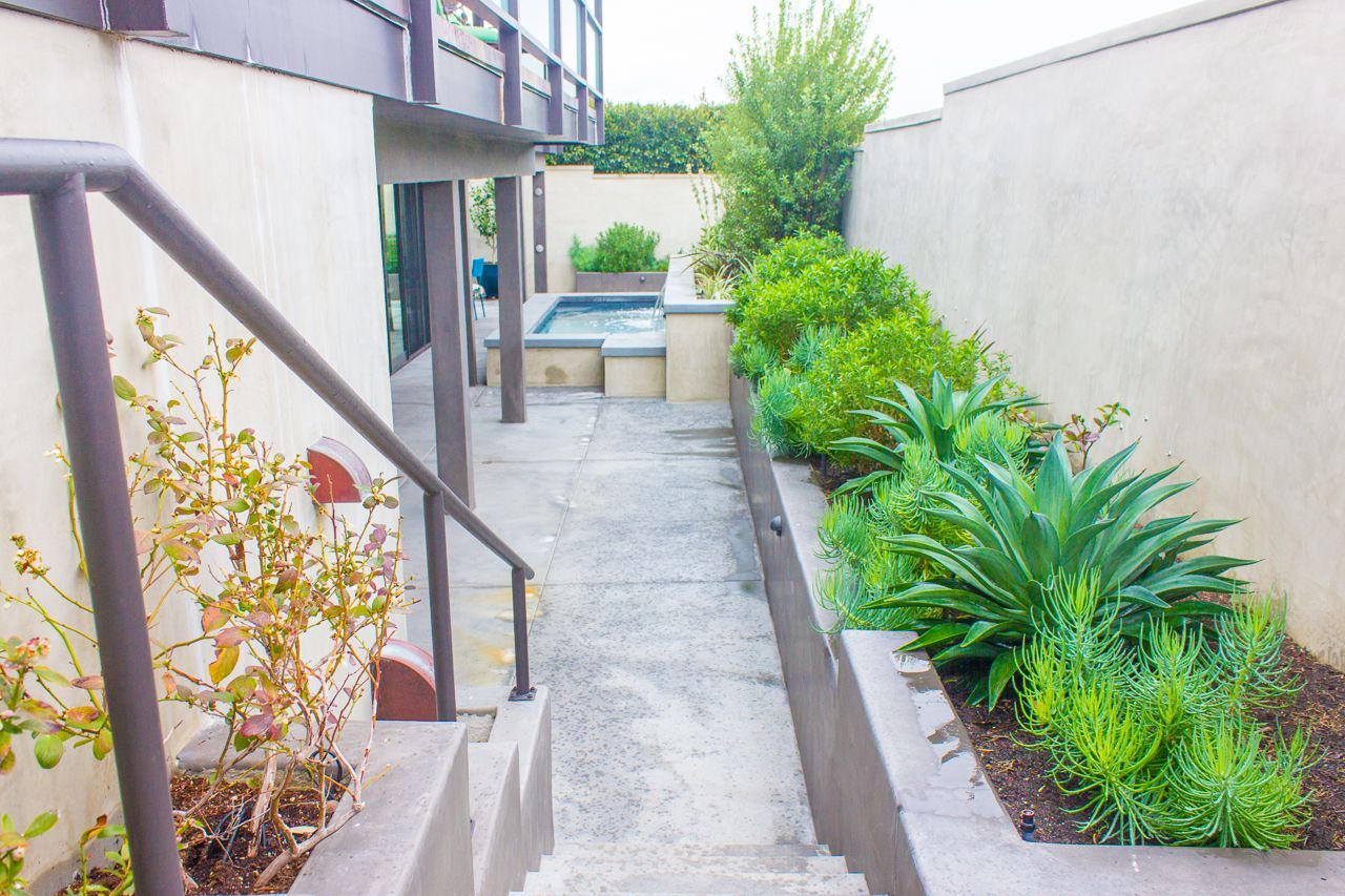 Stone pathway leads to a small pool, flanked by lush green plants in a narrow garden bed.