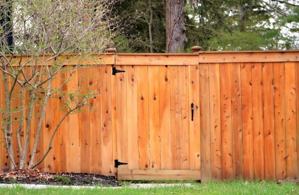 Wooden backyard fence with a centered gate, surrounded by trees and green grass