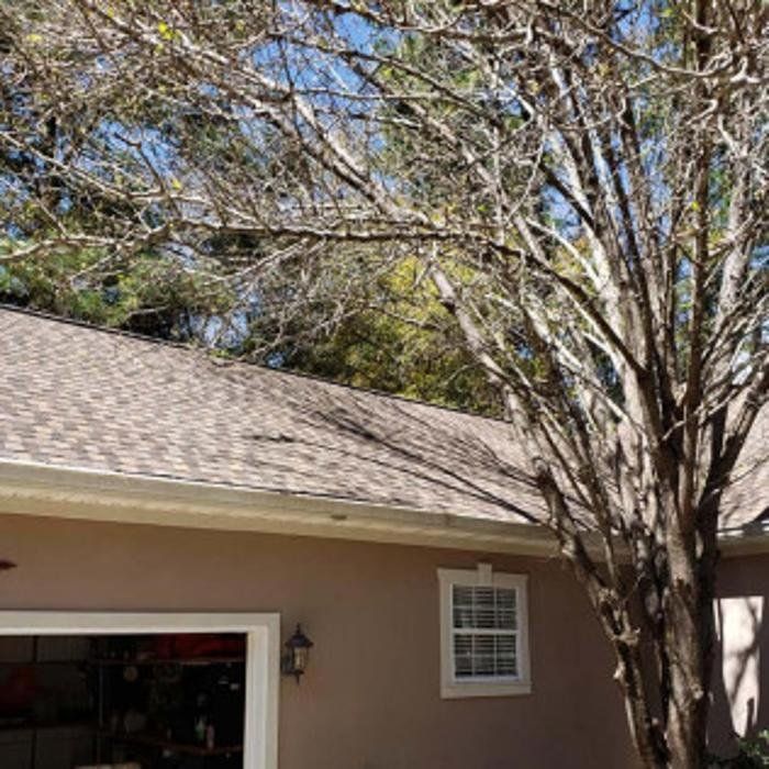 House exterior with beige siding, white-trimmed window, and large tree over the roof
