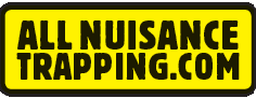All Nuisance Trapping