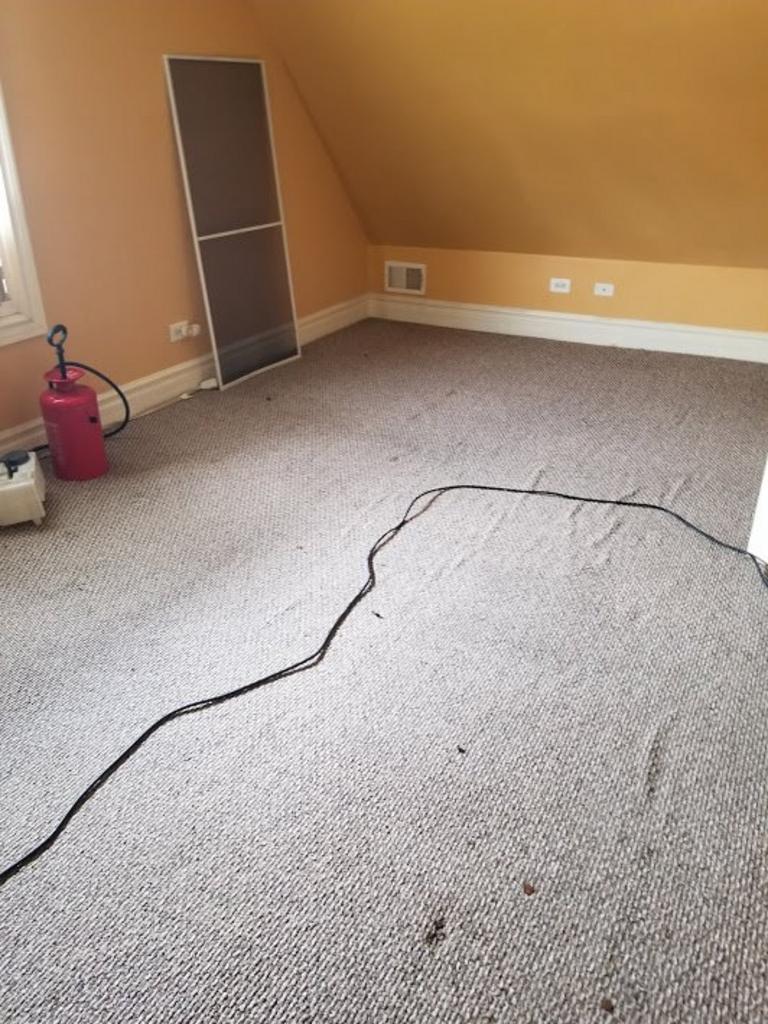 Revive Carpet Cleaning Solutions in Matteson, IL