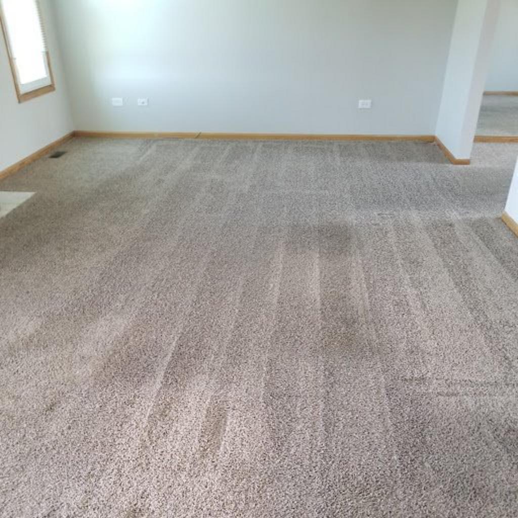 Revive Carpet Cleaning Solutions in Matteson, IL