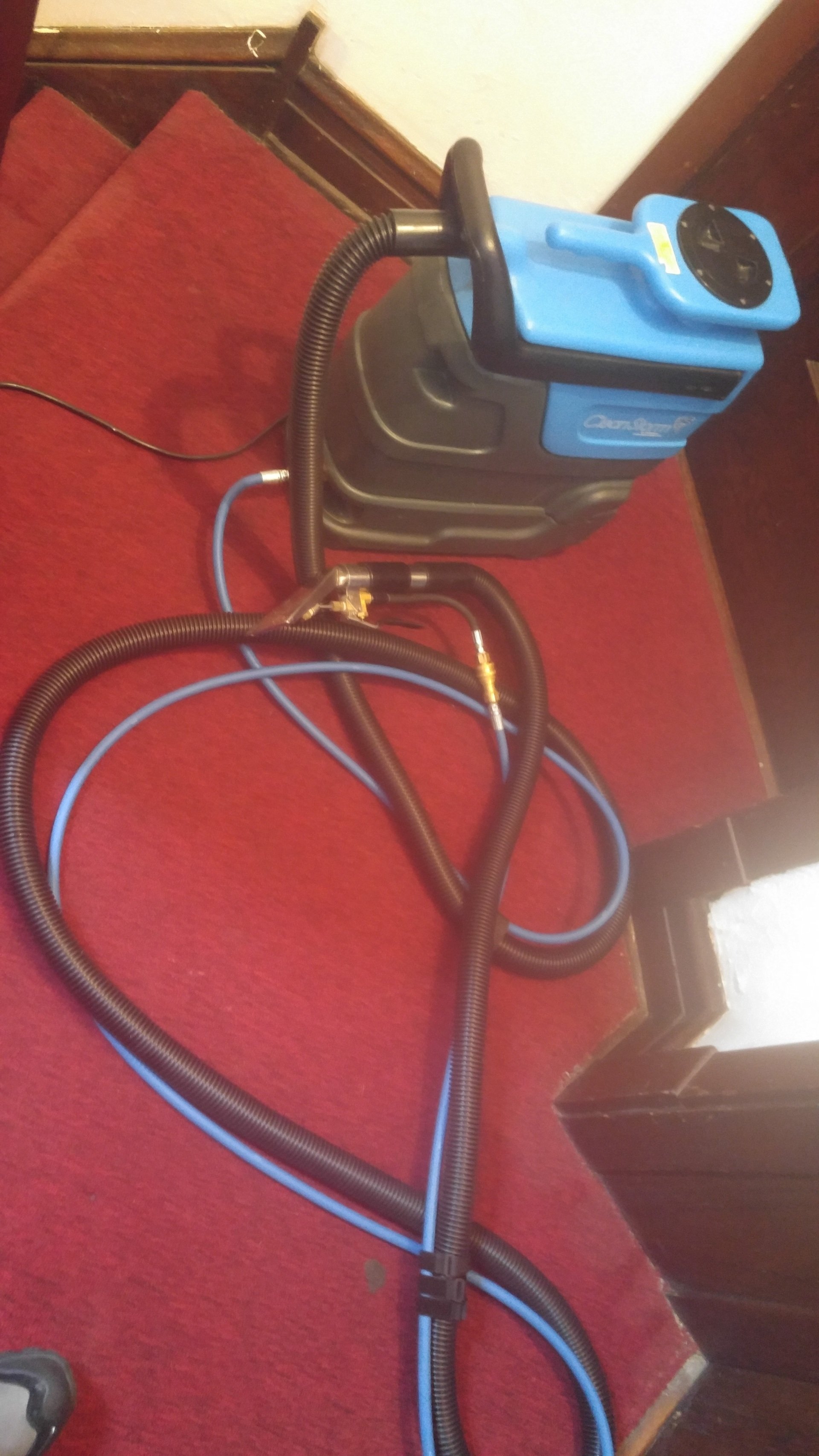 Gallery Revive Carpet Cleaning Solutions Carpet Cleaning Service in