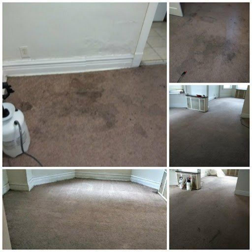 Collage Photo Of Carpet With Stain
