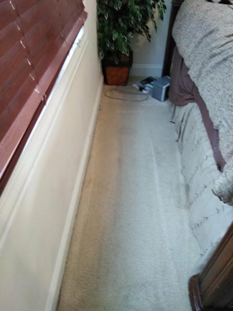 Bedroom With Carpet
