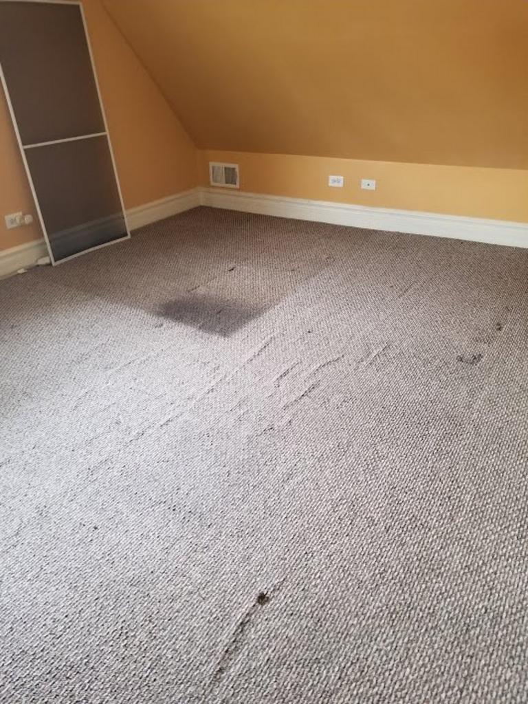 Stain On A Carpet