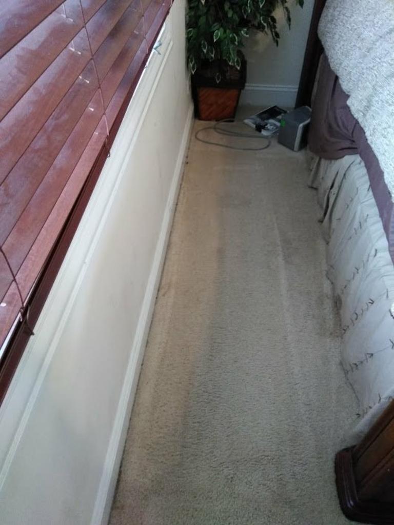 Clean White Carpet